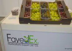 Box of grapes of Fayed Ex